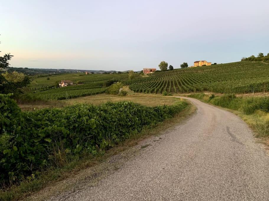 Apart-Agriturismo "La Colomba" Nizza Monferrato Exteriör bild